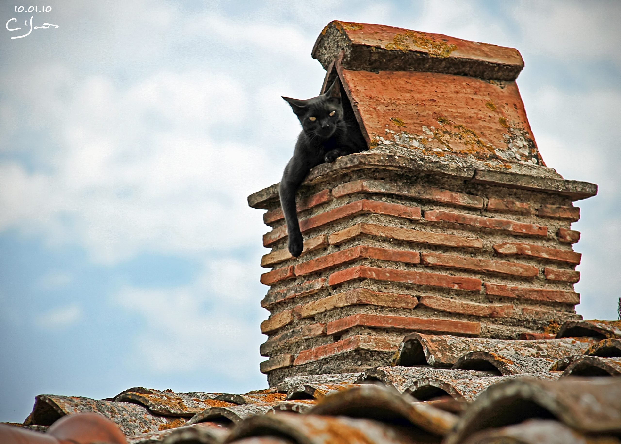 Can I stop my cat from climbing the chimney?