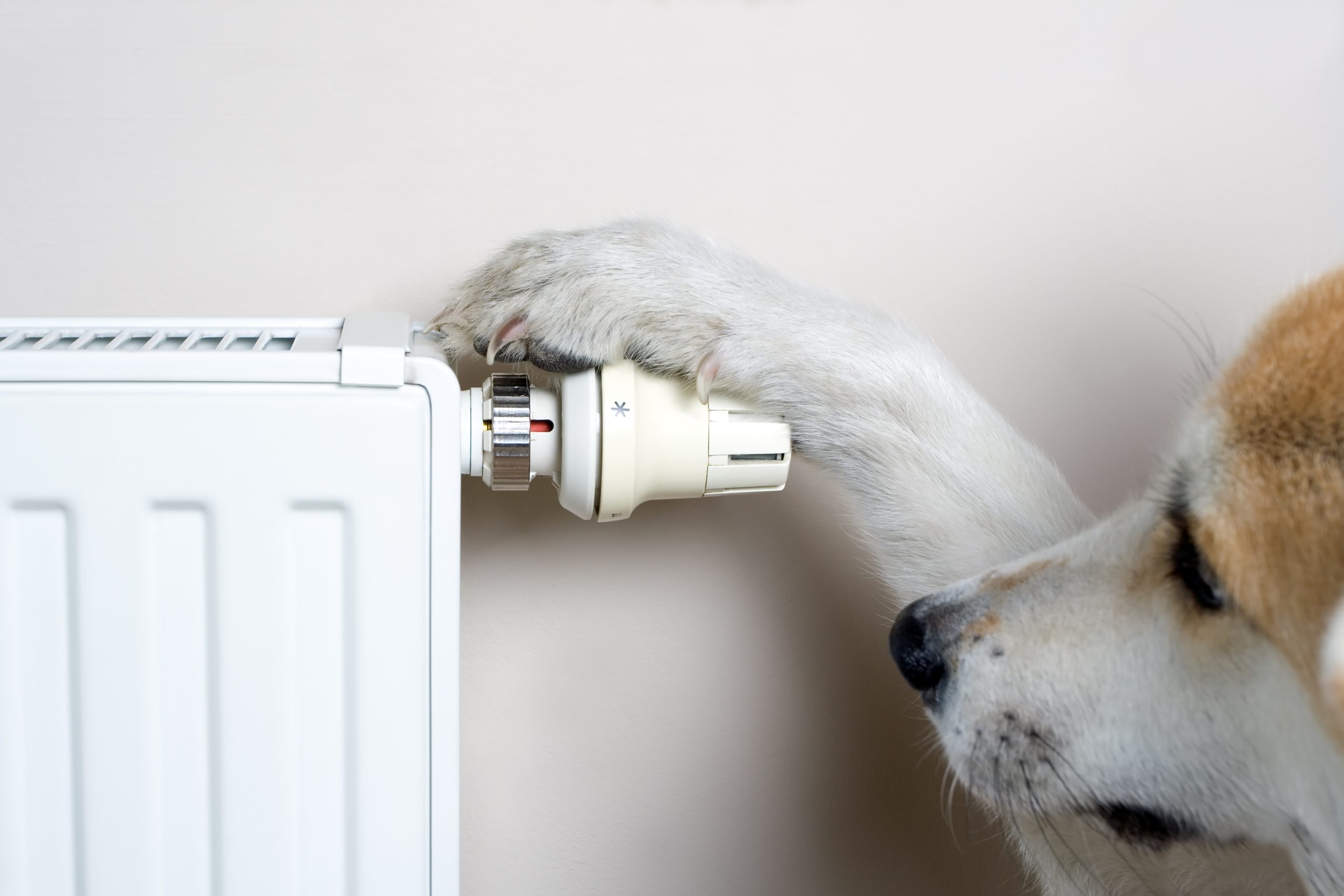 Five cheap ways to save money on your energy bills