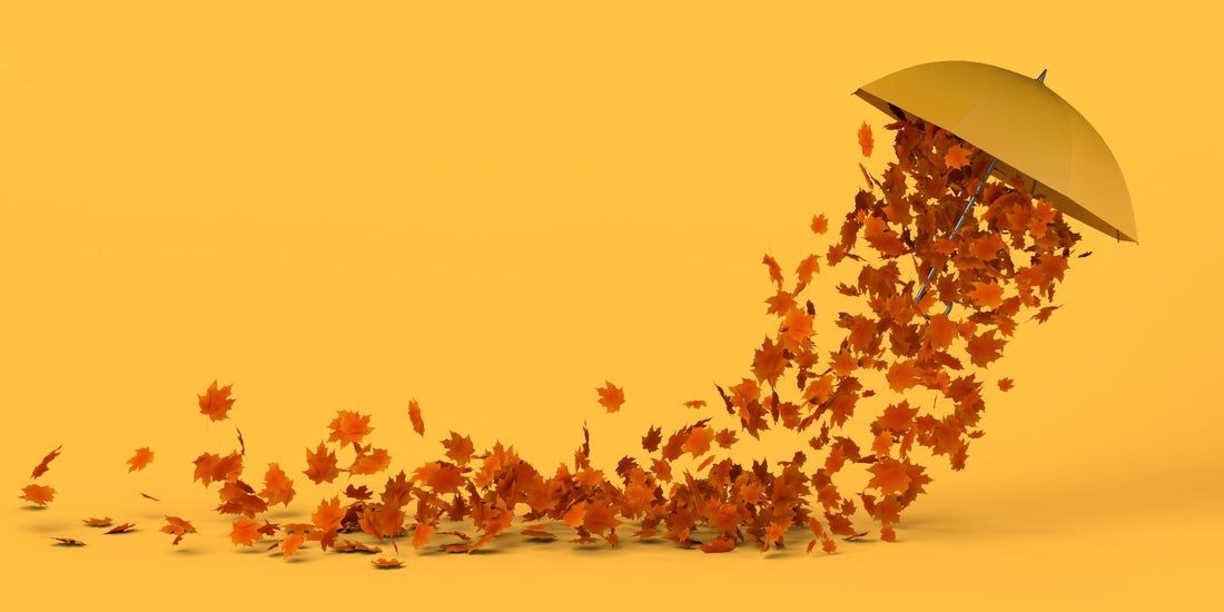 How to reduce chimney wind noise