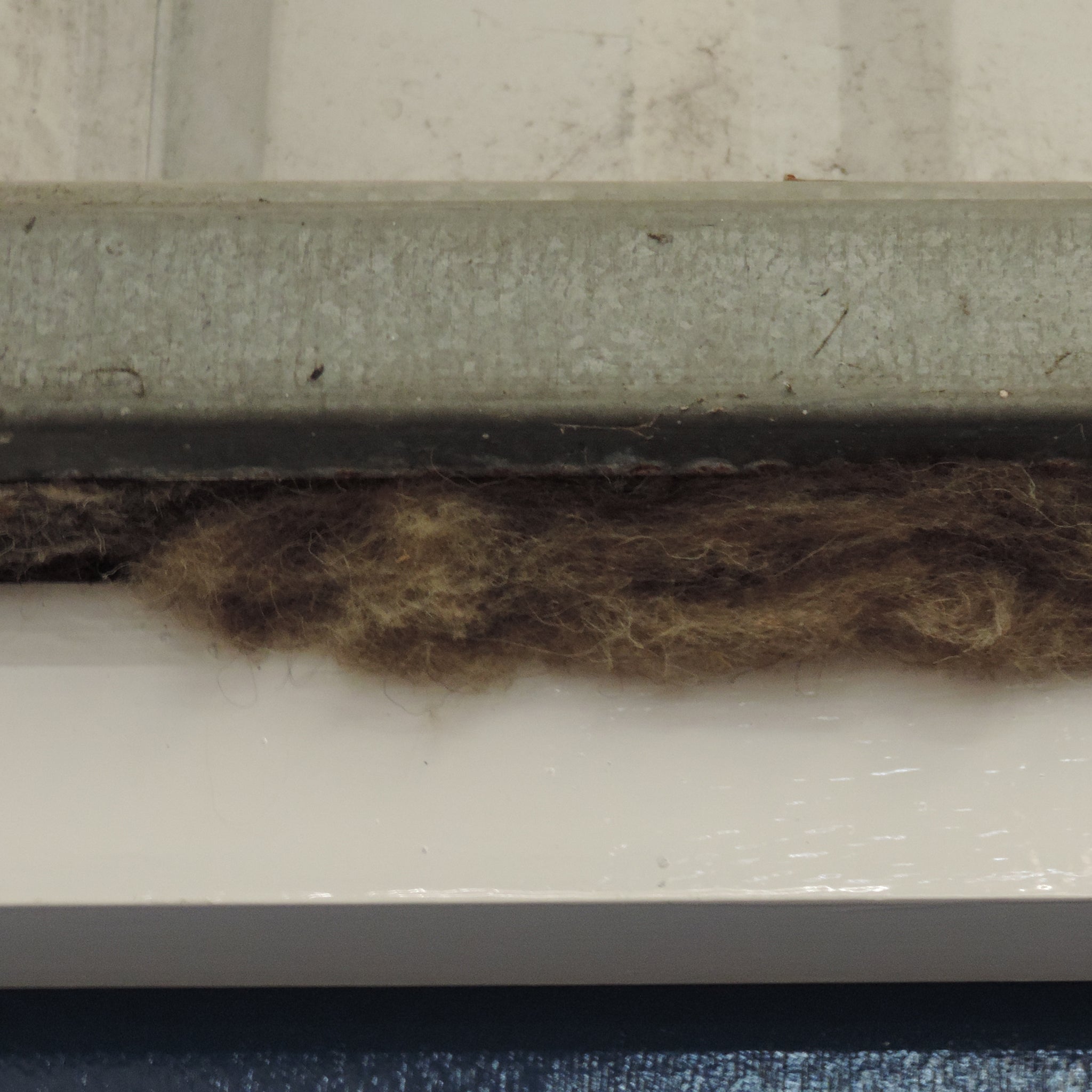 A close-up view of a dark brown insulation, trapped along the seam between a white surface and a grey metal or plastic trim.