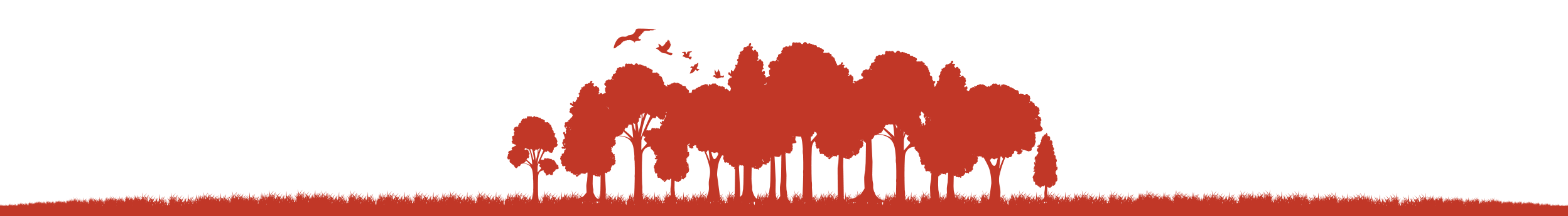 A stylized red graphic of a tree line with birds flying above, set against a white background with a thin red horizontal line along the bottom edge.